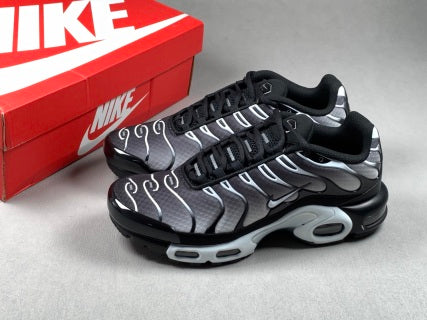 Nike Air Max Plus TN – Noir Argent Blanc