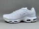 Nike Air Max Plus TN – Blanc Gris